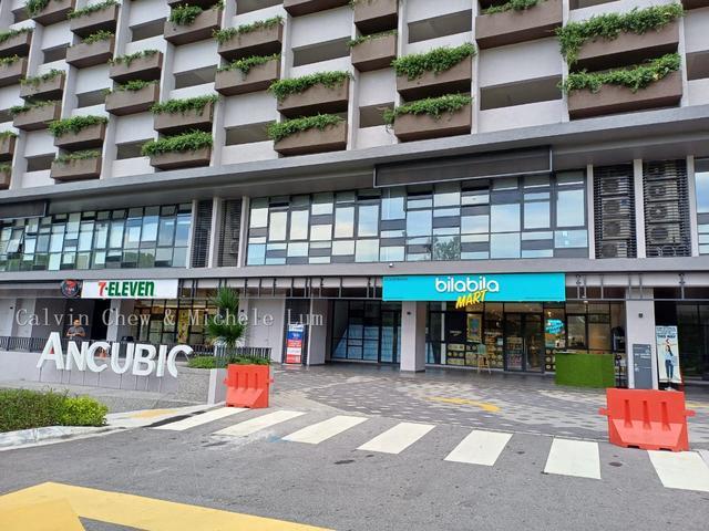 Below Market 28 Cubic Botanical Bangsar South Pantai Dalam 517sf