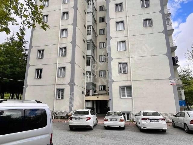 Belsin Kocatepede Harika Konumda 80 Lik Daire