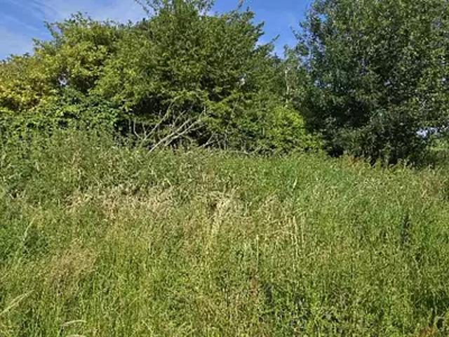 Berville en Caux 76560 Programme neuf terrain neuf à vendre
