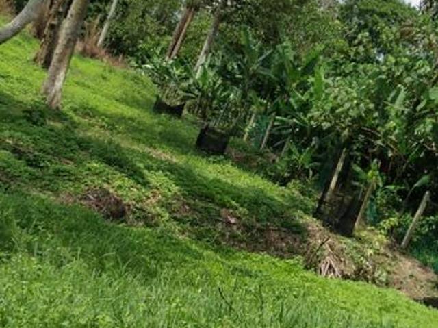 Beranang Industrial Park