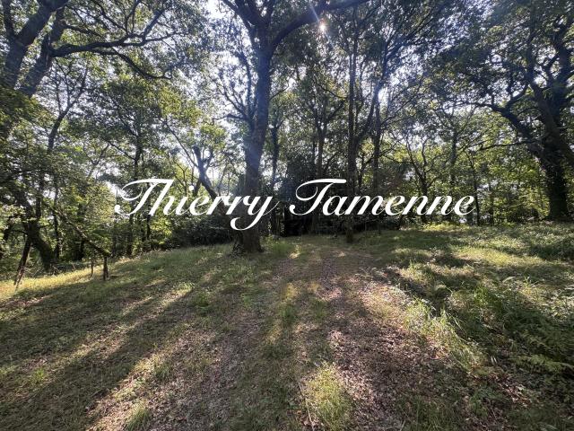 Bérenx Vente Terrain 64