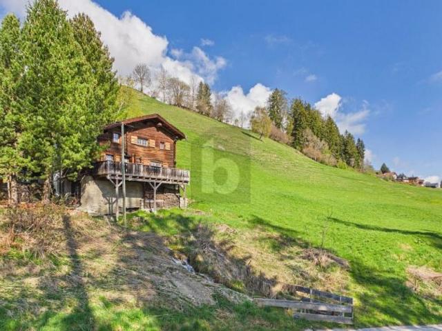 BERG IDYLLE AM HEINZENBERG