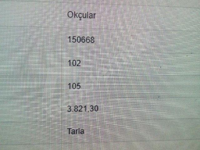 BERGAMA OKÇULAR DA SATILIK TARLALAR