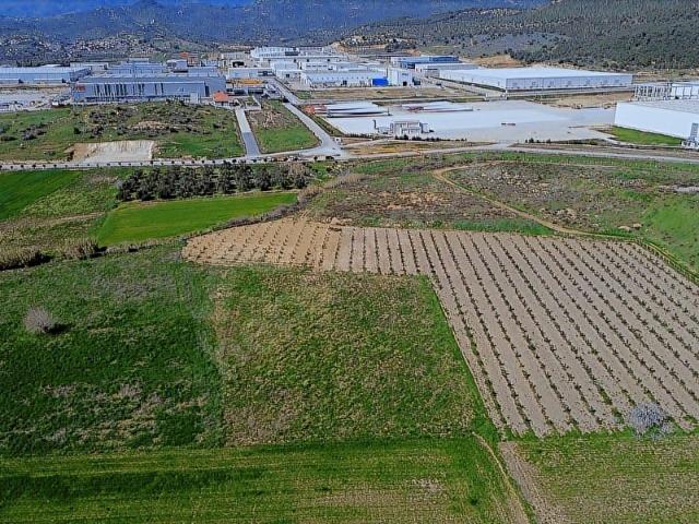 BERGAMA ORGANİZE SANAYİ'YE YAKIN 7.880 M2 YATIRIMLIK TARLA