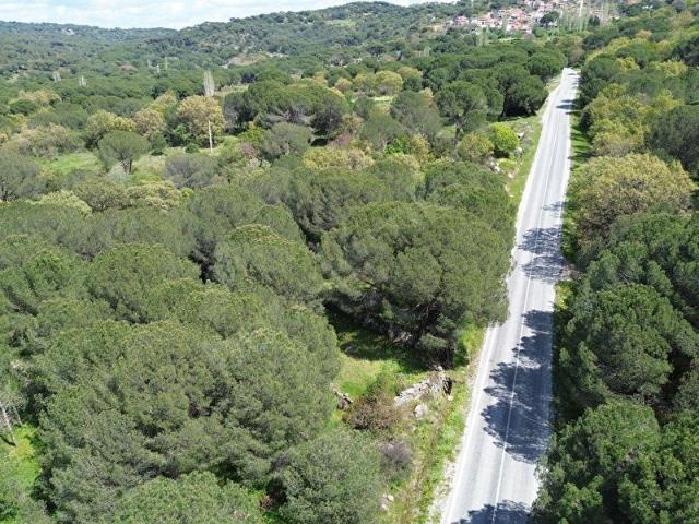 BERGAMA AŞAĞIBEY MAH. ANAYOL ÜZERİNDE 1.589M2 SATILIK TARLA