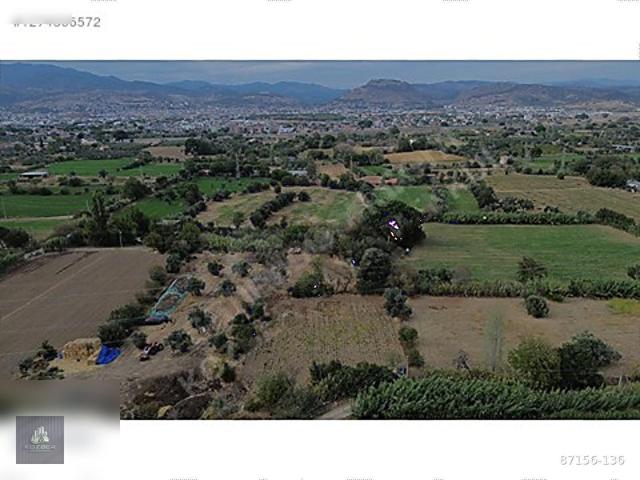 BERGAMA BAĞLAR MEVKİİ ÇEVRE YOLUNA 750 MT MESAFEDE SATILIK TARLA