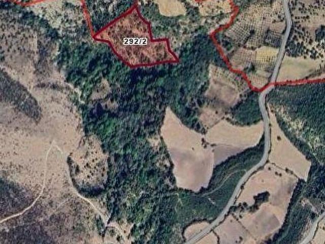 Bergama Durmuşlar'da Satılık 14.862 m Palamut Tarlası