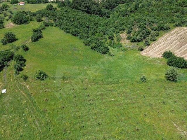 Bergama Dereköyde Uygun Fiyatlı Tarla !