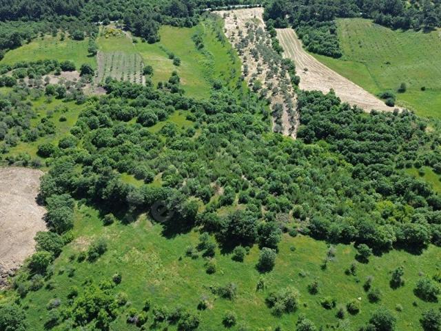 Bergama Dereköyde Satılık 15.111m2 Verimli Tarla !