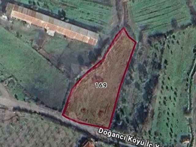 Bergama Doğancı Köyü'nde Evlere Bitişik Satılık Tarla