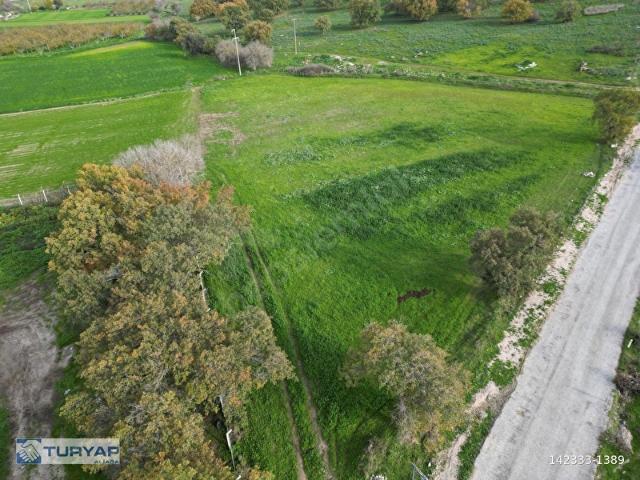 BERGAMA ÇİTKÖYDE YOLA CEPHE SATILIK TARLA