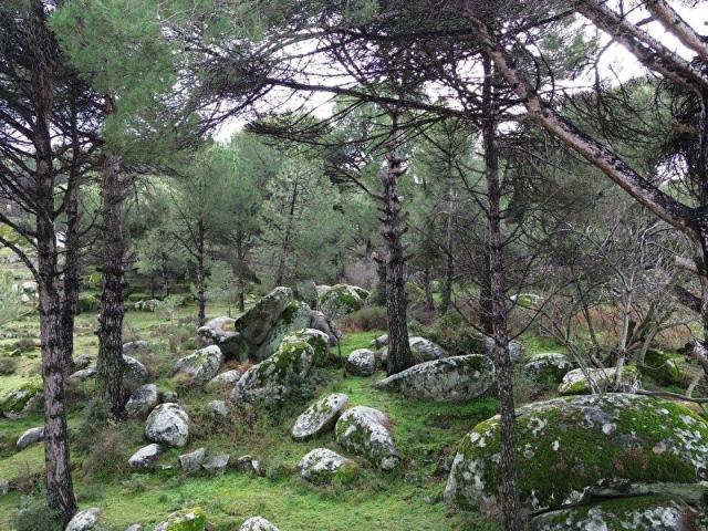 BERGAMA KOZAK HİSAR MAH.'DE SATILIK 5.390M2 KONUT İMARLI ARSA