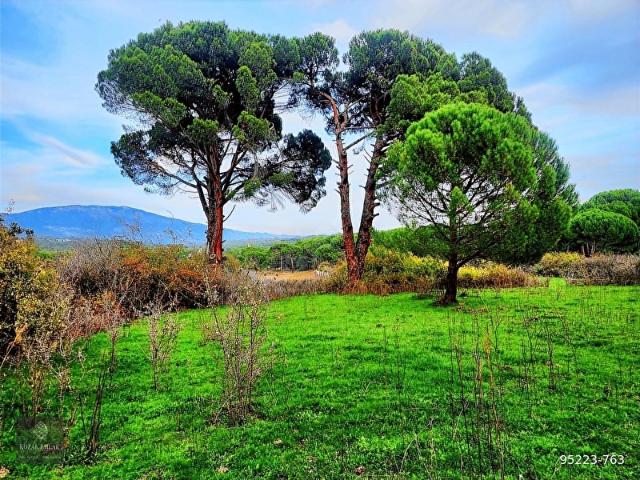 Bergama Kozak Hisar Tarla 3 Dönüm Satılık