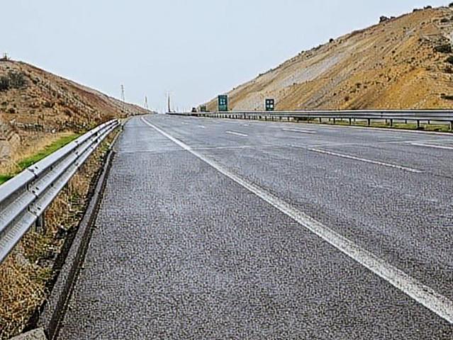 bergama zeytindağ'da deniz manzaralı zeytinlik