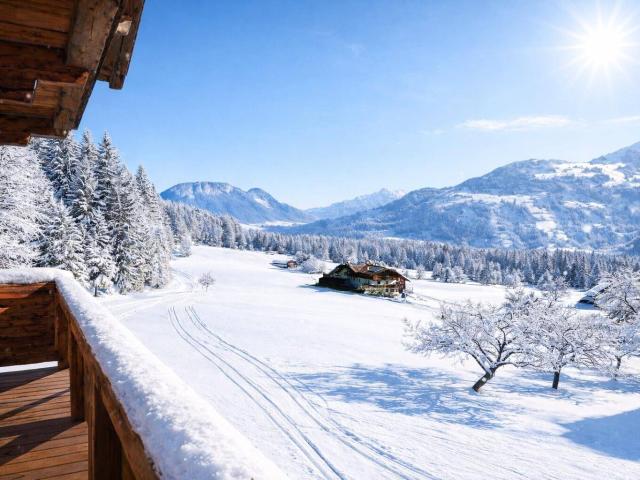 Bergbauernwirtshäusl mit Panoramablick & touristischer Widmung