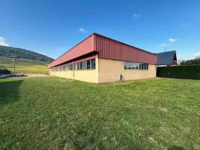 Bergholtz 68500 Achat / Vente immeuble