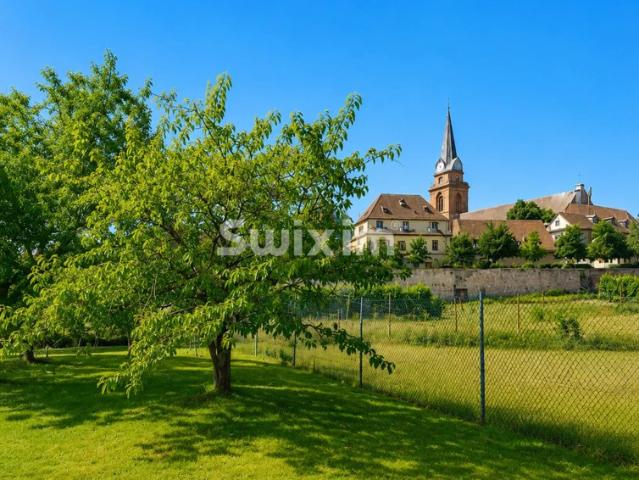 Bergheim – Maison, grand terrain et vue