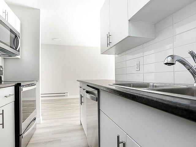 Berkley Court 1 Bedroom layout B Apartment For Rent
