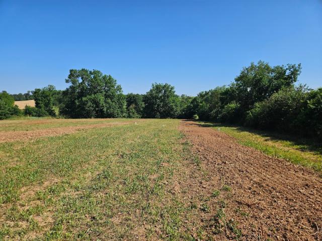 Bernac Vente Terrain 81