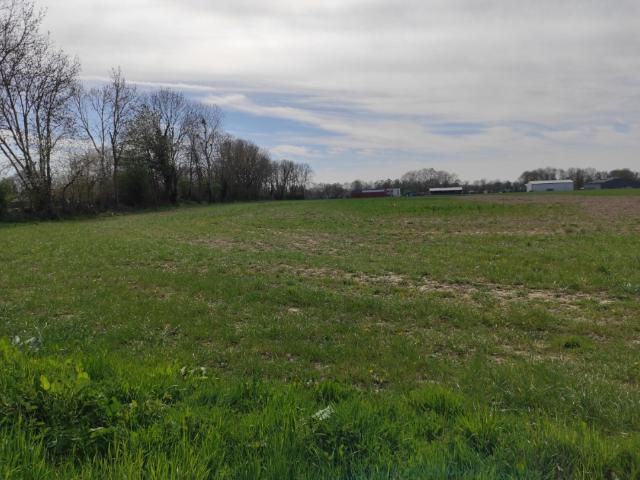 Bernay Vente Terrain 27