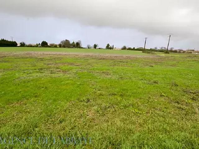 Berneuil 17460 Achat / Vente terrain