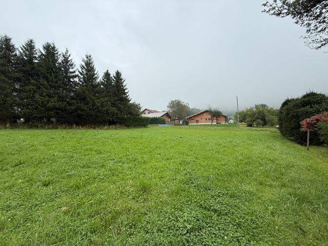 Bernex Vente Terrain 74
