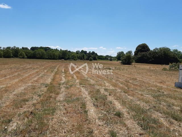 Berson Vente Terrain 33