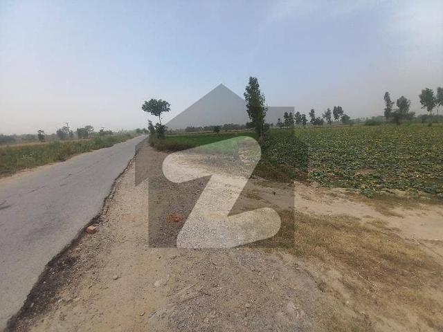 Best opertuinty for investment 6kanal land for sale 250 ft front kingra more details contact me