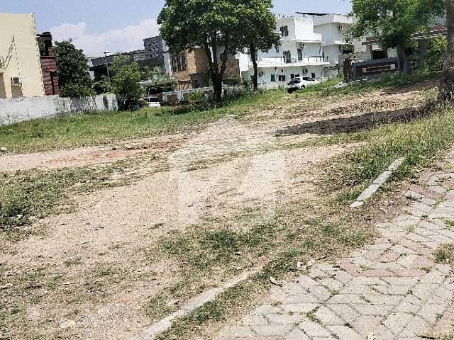 Best location one kanal solid land plot avail for sale
