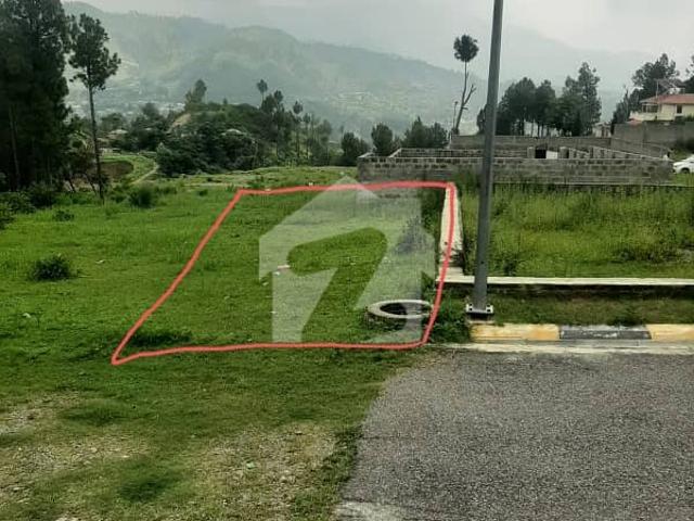 Best location 8 marla Plot in Green City Housing Scheme Mansehra