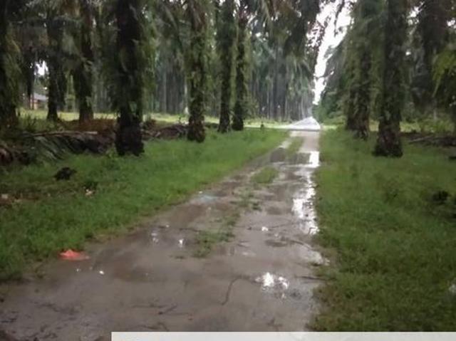 BESTARI JAYA BATANG BERJUNTAI