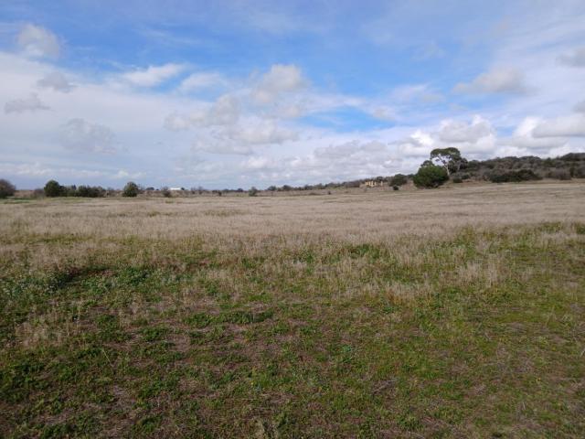 Bessan Vente Terrain 34