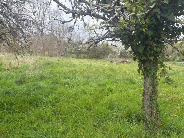 Bessières Vente Terrain 31