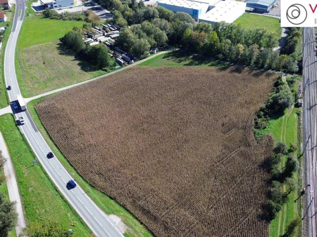 Betriebsbaugrundstück B I Gewerbepark Wallern an der Trattnach I 24.000 m²​​​​​​​ I ideale Verkehrsanbindung I Baubewilligung bereits vorhanden!