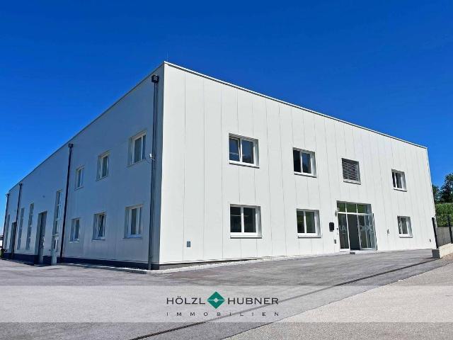Neuwertige Betriebsliegenschaft zum Kauf