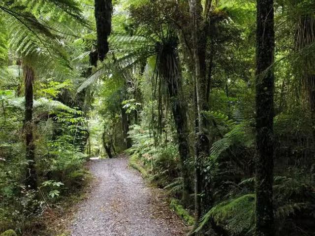 Betsey Jane Eatery & Bar, Fox Glacier, NZ 7859 Restaurant &.