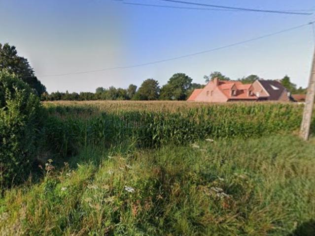 Beuvry la Forêt Vente Terrain 59