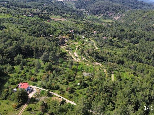 BEY ARSADAN YAZIRDA DOĞAYLA İÇ İÇE ELEKTRİK SU NUMARATAJ MEVCUT
