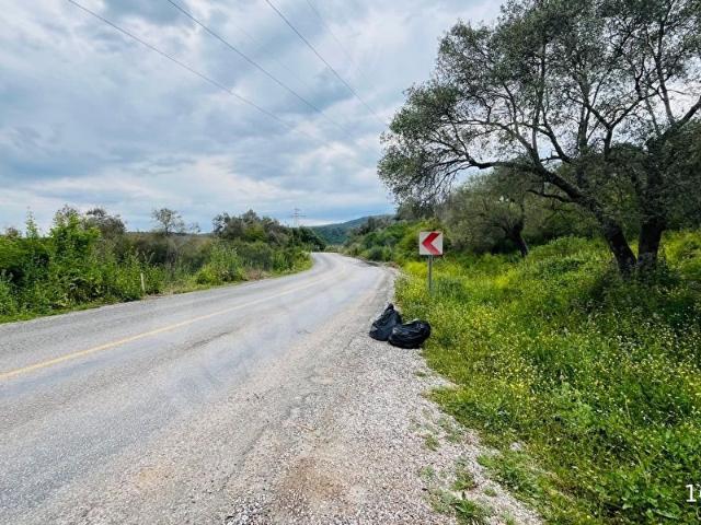 BEYAZ YUVA GAYRİMENKUL'DEN Avşar Asfalt Yola Cepheli 12.163 m Zeytinlikte 16 Hisse