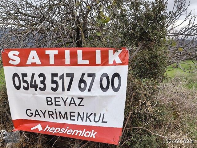 BEYAZ EMLAK DAN Büyük Avulcuk İRİMAĞZINDA 11 DEKAR ANAYOL KENARINDA İNCİR BAHÇESİ KAÇIRMAYINIZ