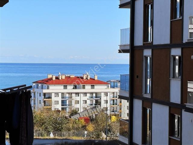 Beyaz Emlaktan Erikliman Mahallesinde 1+1 Kiralık Daire