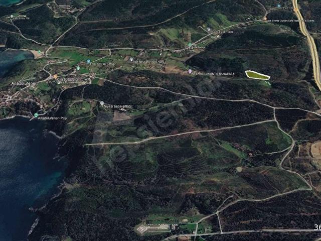 Beykoz Anadolufeneri 'nde Doğa İçinde Satılık 3615 M Bahçe