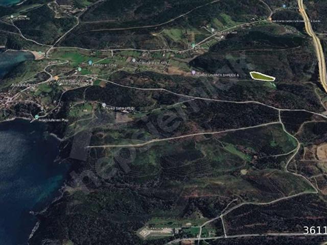 BEYKOZ ANADOLUFENERI 'NDE DOĞA İÇINDE SATILIK 3615 M BAHÇE