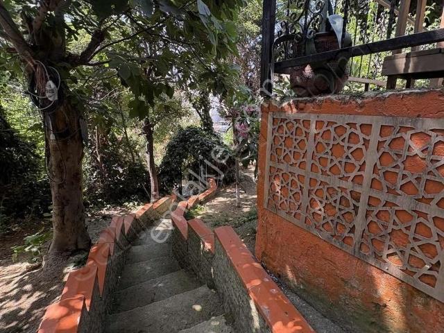 Ekin’den Beykoz Ortaçeşme‘de Kiralık Müstakil Ev