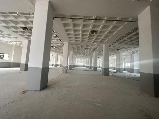 Beylikdüzü Osb 5400 M2 Rampalı 1 Ci Kat Ve Çatı İşyeri