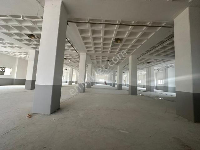 Beylikdüzü Osb 5400 M2 Rampalı 1. Kat Ve Çatı İşyeri