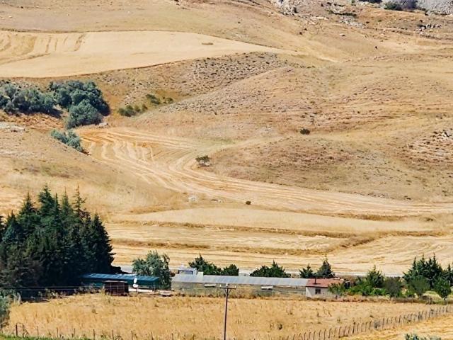 BEYNAM MAHALLESİNDE 10,600M2 TEK TAPU KIYMETLİ YATIRIMLIK ARAZİ