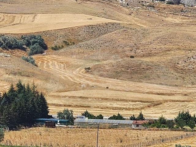 BEYNAM MAHALLESİNDE 10,600M2 TEK TAPU KIYMETLİ YATIRIMLIK ARAZİ