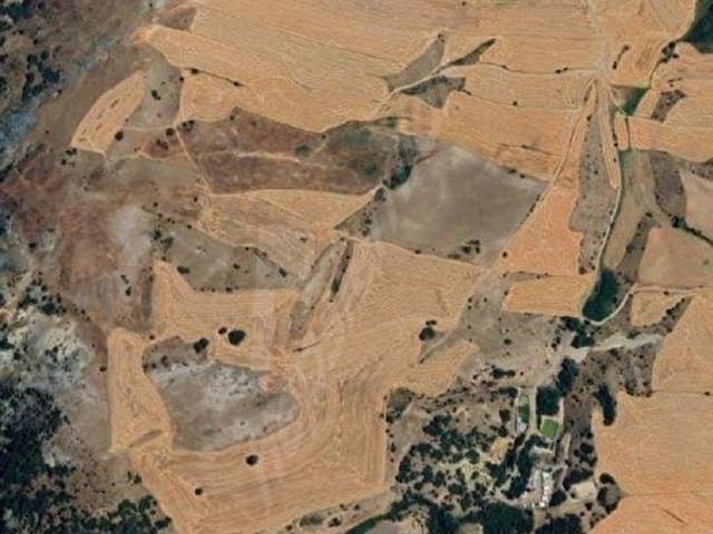 BEYNAM'DA ORMAN KIYISINDA TEK TAPU 37.467 M VİLLA İMARLI ARSA