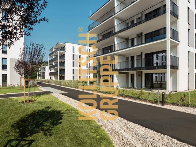 BEZUGSFERTIG* | 4 Zimmer Wohnung in Feschnig. Direkt vom Bauträger. Unsereins. Eins für alle